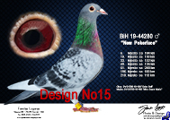 Design No15.jpg

304,68 KB
800 x 600
29.12.2008